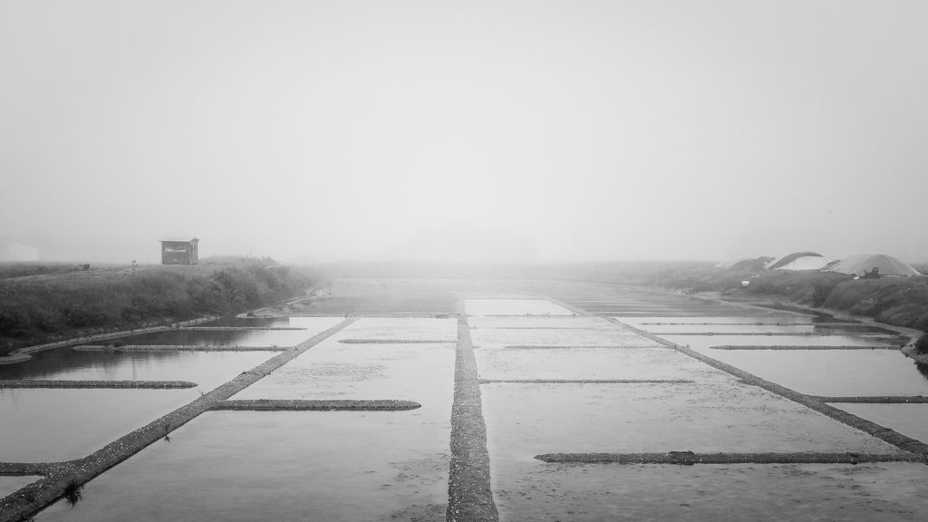 brume matinale sur les marais salants vendéens